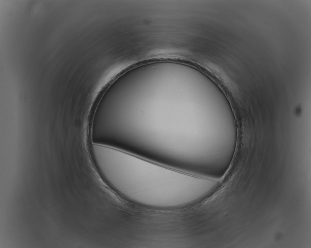 X0000097771277200803070852