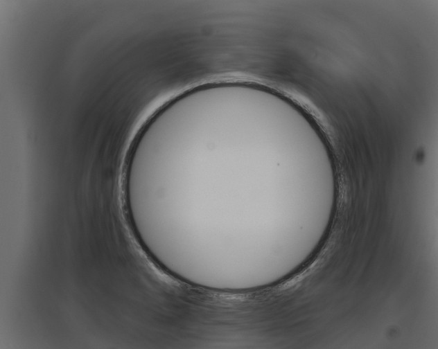 X0000097771278200803070852