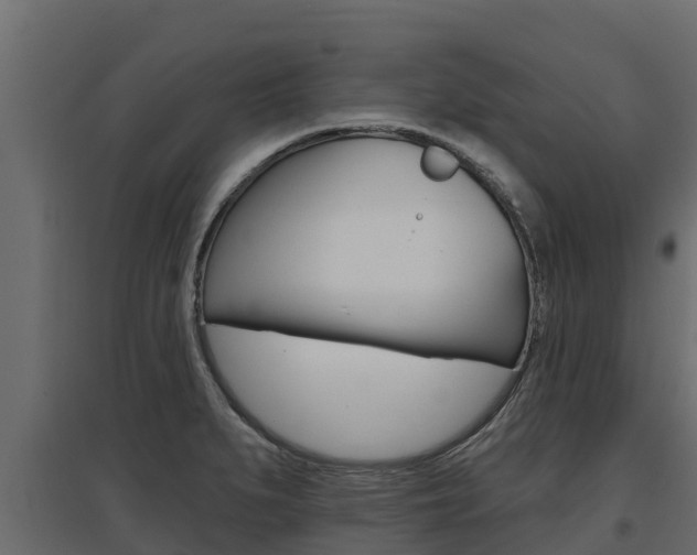 X0000097771279200803070852