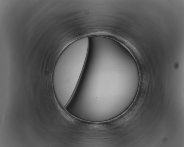 X0000097771281200803070852