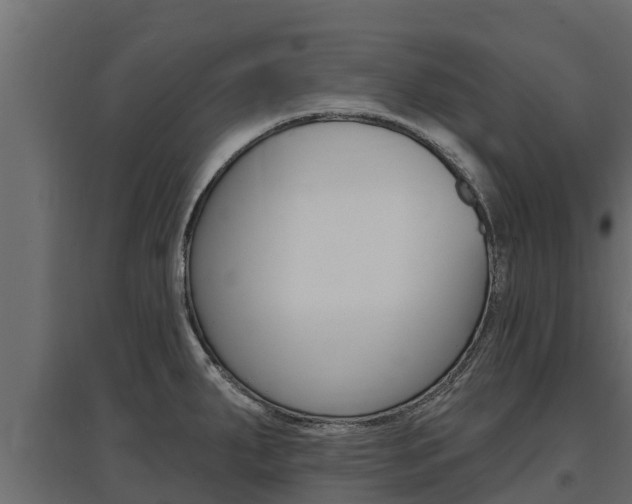 X0000097771287200803070852