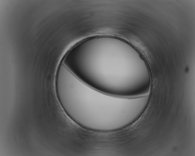 X0000097771288200803070852