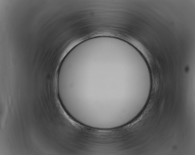 X0000097771290200803070852