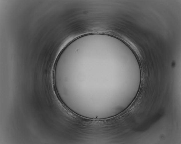 X0000097771291200803070852