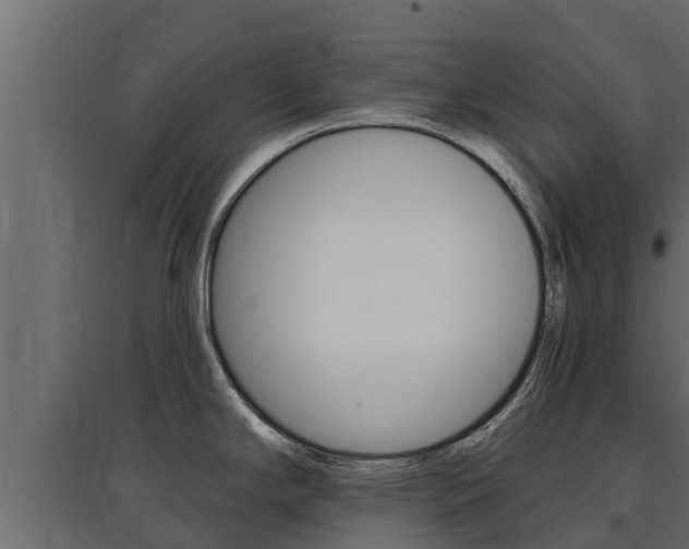 X0000097771294200803070851