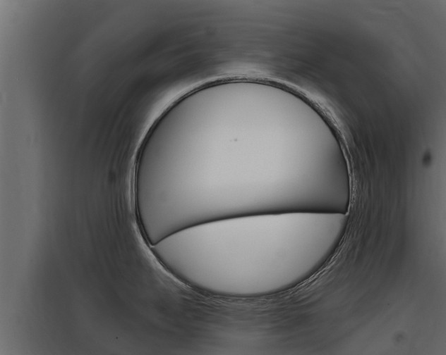 X0000097771295200803070851