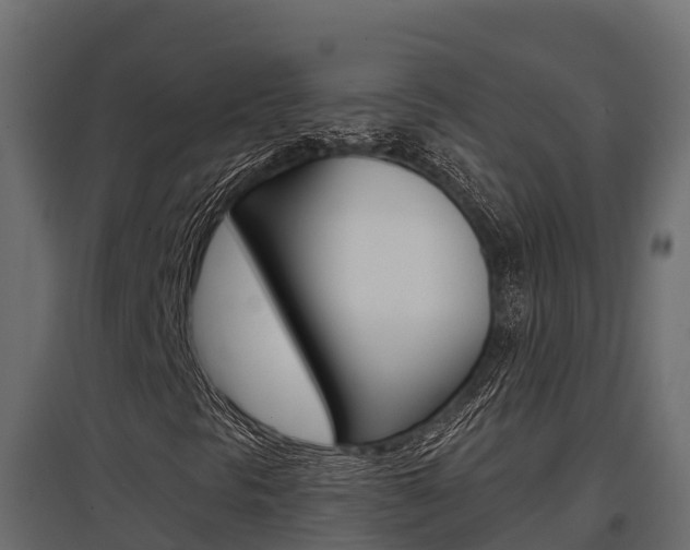 X0000097771297200803070851