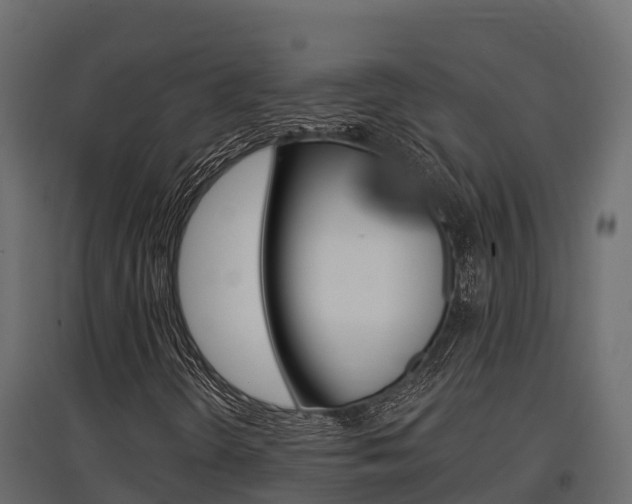 X0000097771298200803070851