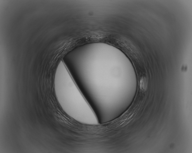 X0000097771299200803070851