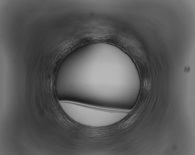 X0000097771300200803070851