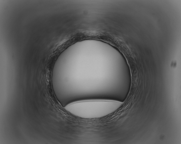 X0000097771301200803070851