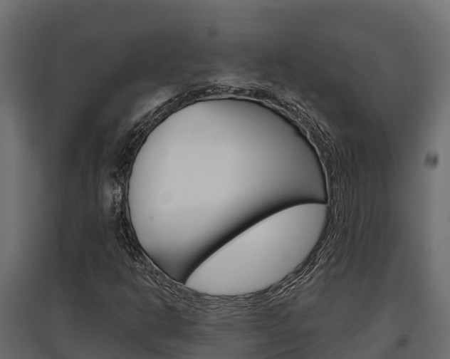 X0000097771302200803070851