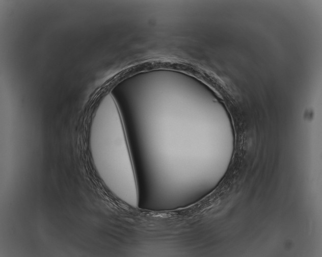 X0000097771303200803070851