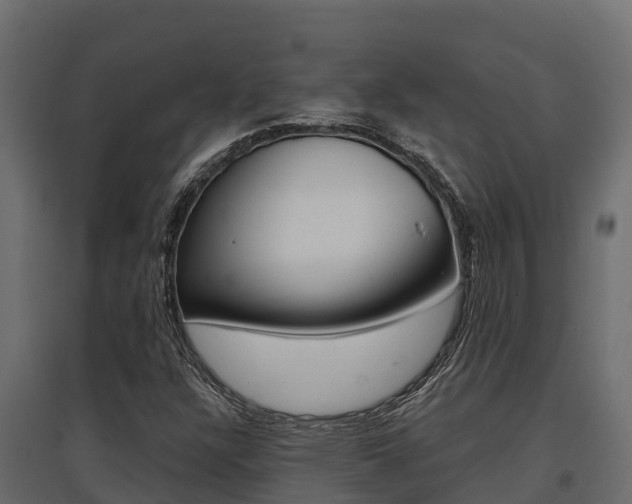 X0000097771304200803070851