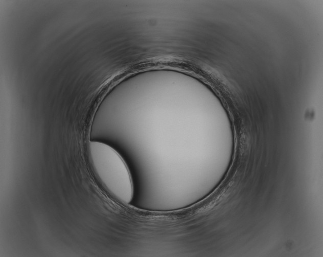 X0000097771305200803070851