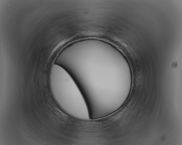 X0000097771306200803070851