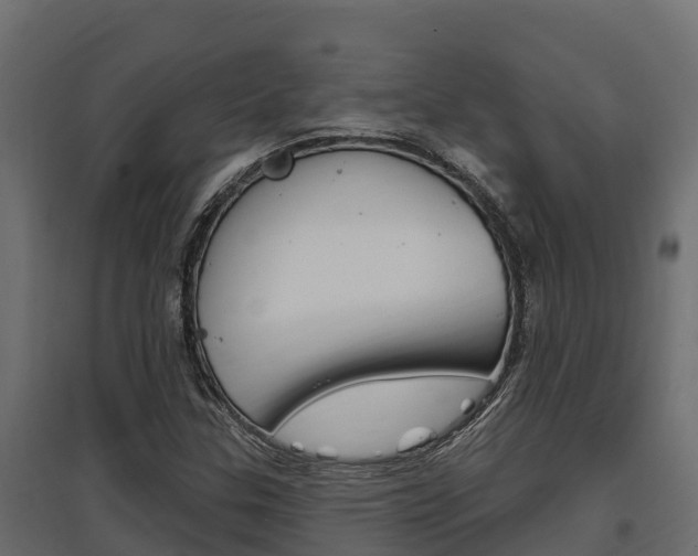 X0000097771307200803070851