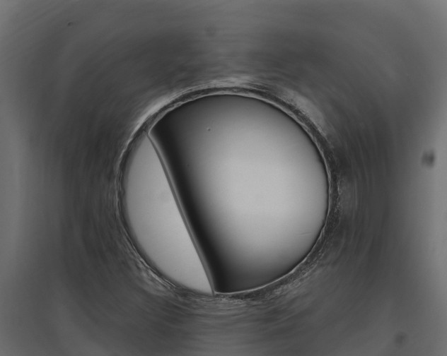 X0000097771308200803070851