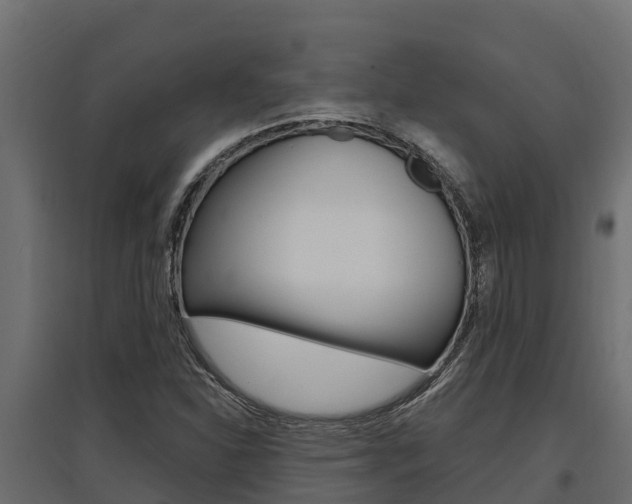 X0000097771310200803070851