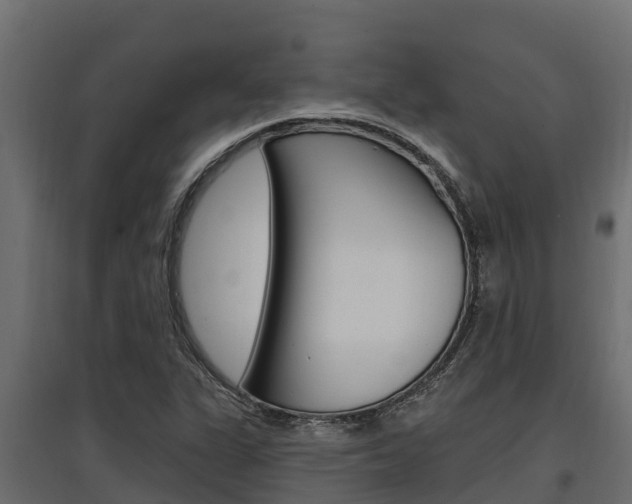X0000097771311200803070851