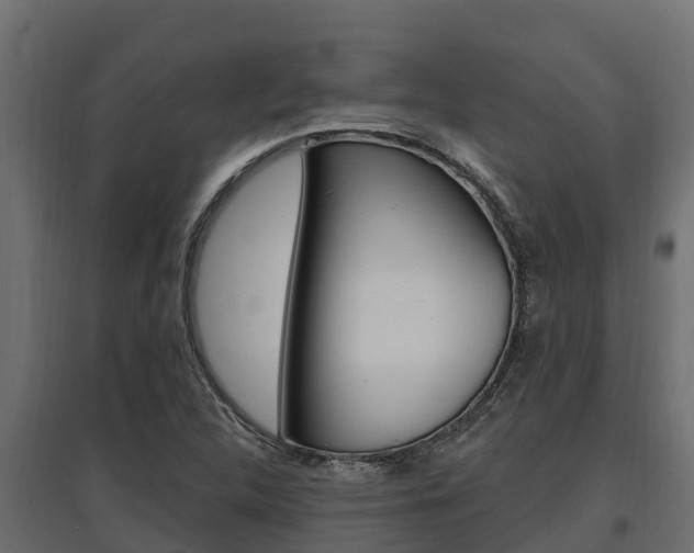 X0000097771312200803070851