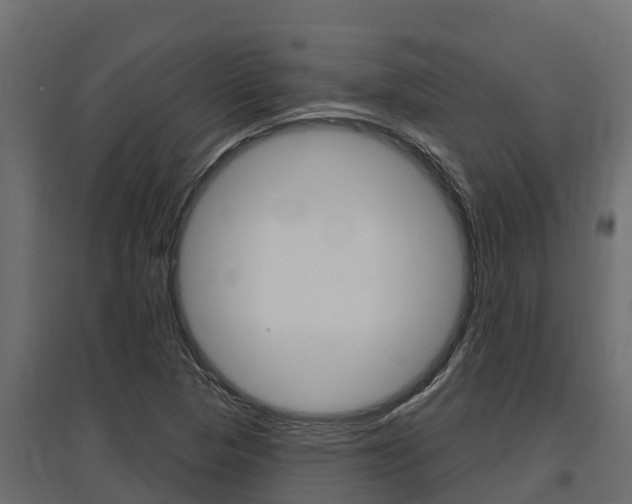 X0000097771313200803070851