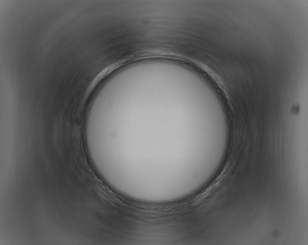 X0000097771314200803070851
