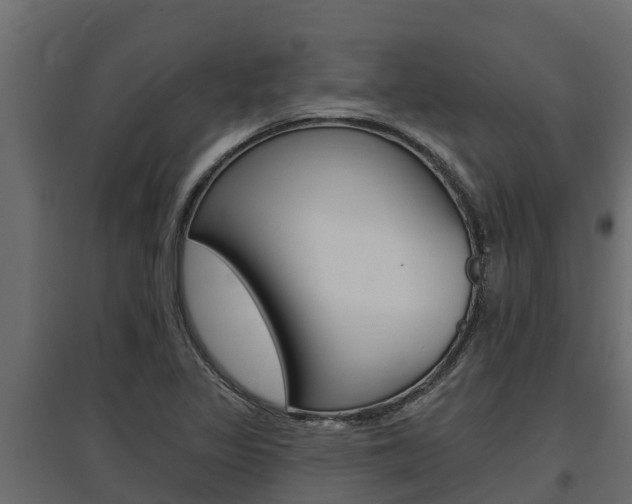 X0000097771317200803070851
