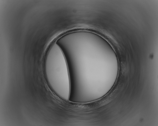 X0000097771318200803070851
