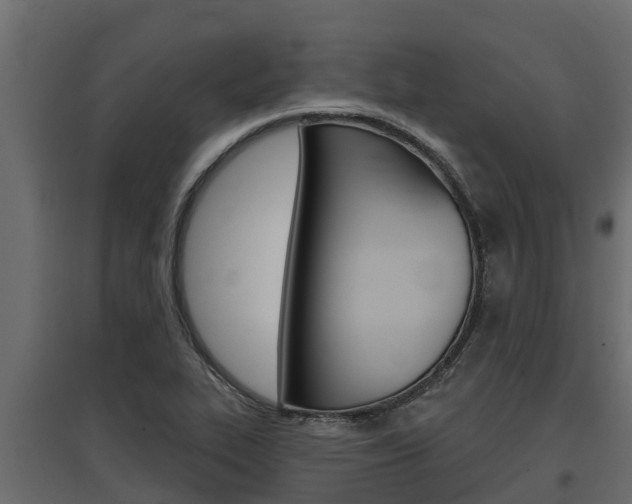 X0000097771319200803070851
