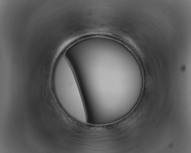 X0000097771320200803070851