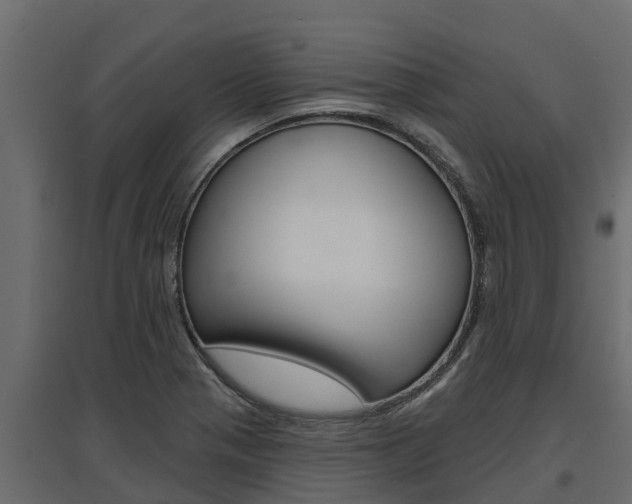 X0000097771321200803070851