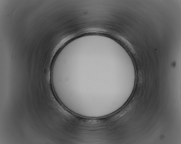 X0000097771322200803070851