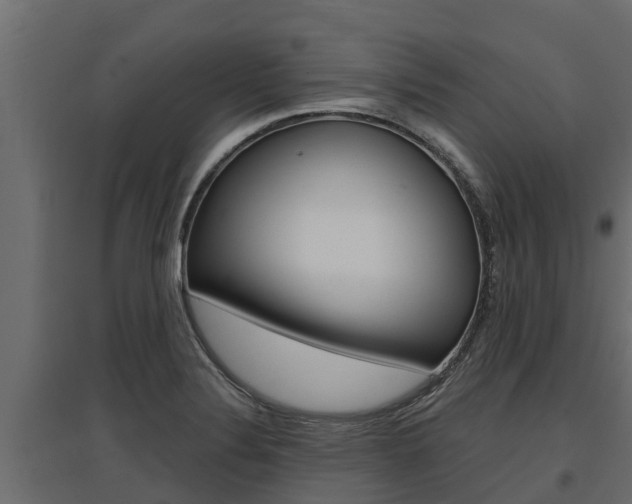 X0000097771324200803070851