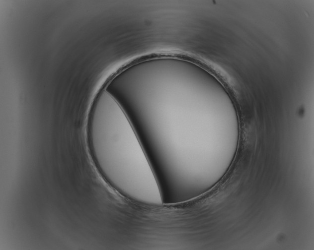 X0000097771327200803070851