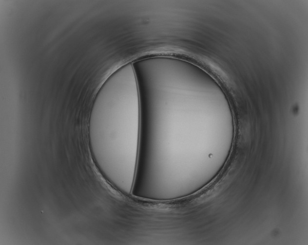 X0000097771329200803070851