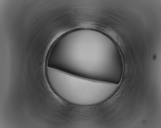 X0000097771331200803070851