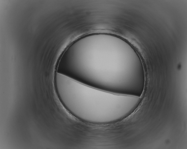 X0000097771333200803070851