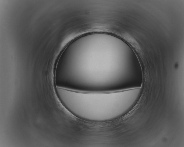 X0000097771334200803070851