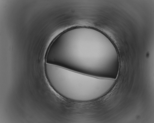 X0000097771335200803070851