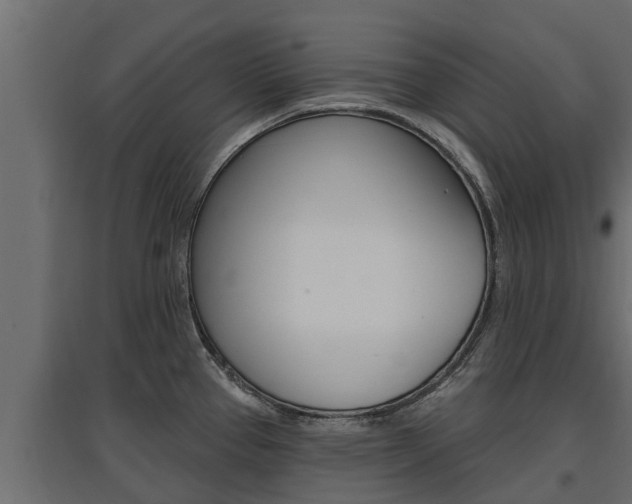 X0000097771337200803070851