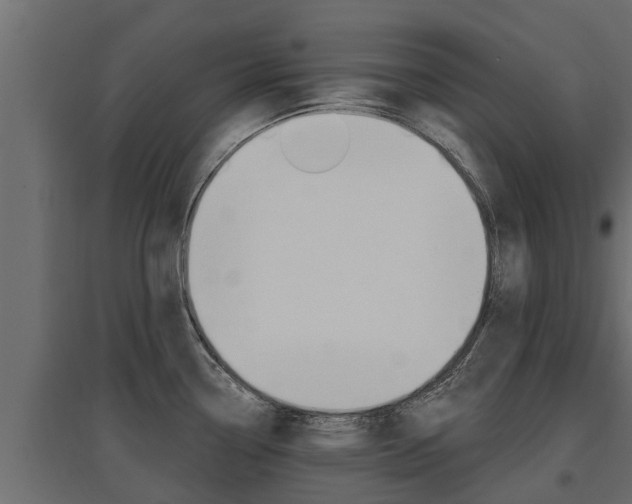 X0000097771338200803070851