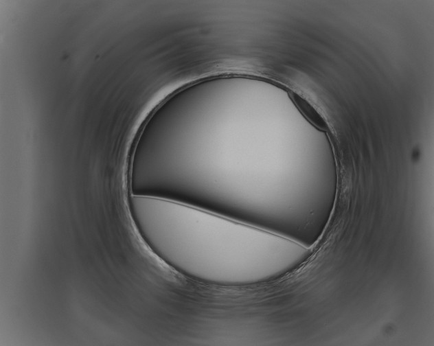 X0000097771339200803070851