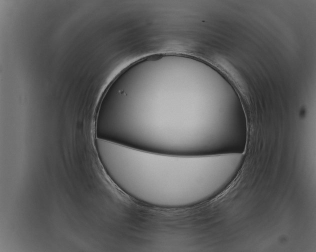 X0000097771340200803070851