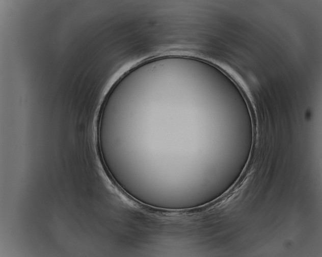 X0000097771341200803070851