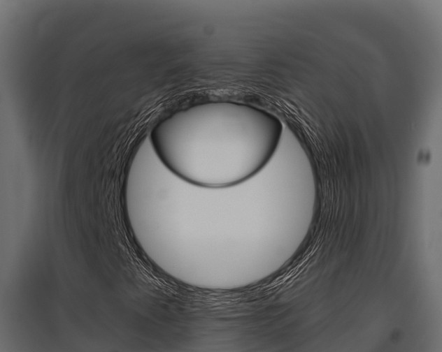 X0000097771345200803070851