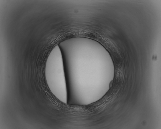 X0000097771346200803070851