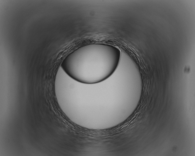 X0000097771349200803070851
