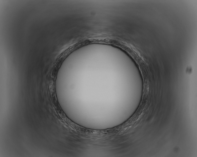X0000097771350200803070851