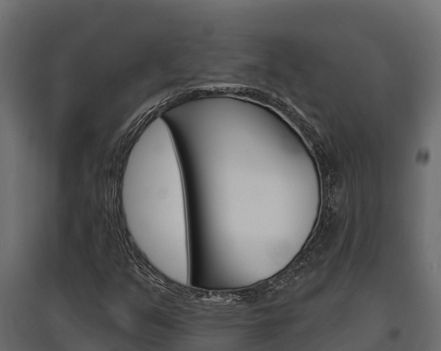 X0000097771351200803070850